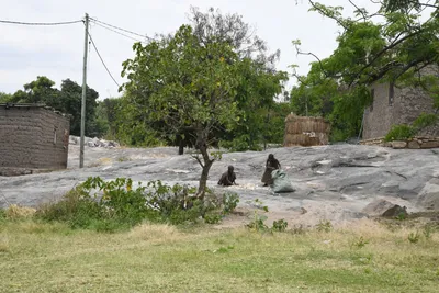 DSC_3106 (Large).JPG